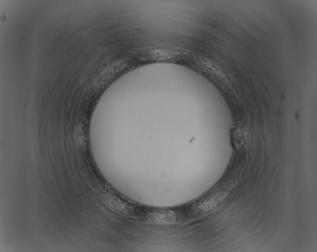 X0000062610317200601111015