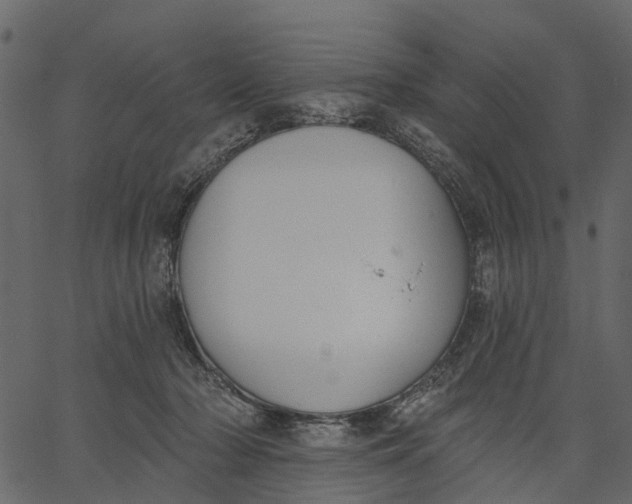 X0000062610318200601111015