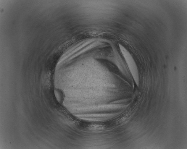 X0000062610319200601111015