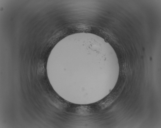 X0000062610320200601111015