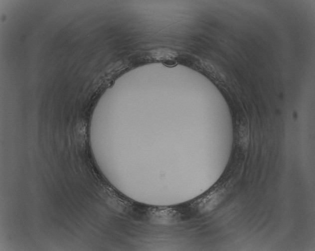 X0000062610321200601111015