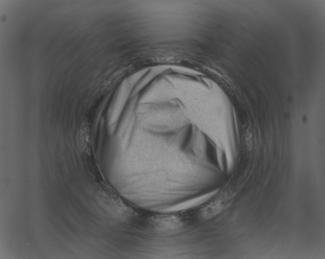 X0000062610322200601111015