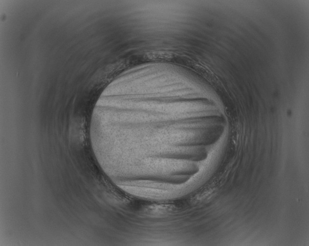 X0000062610323200601111015