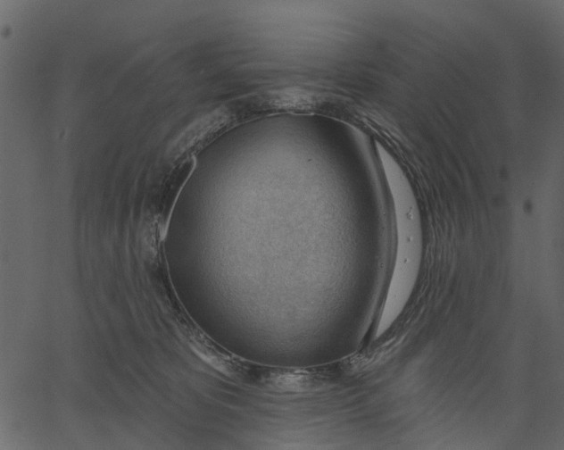 X0000062610325200601111015