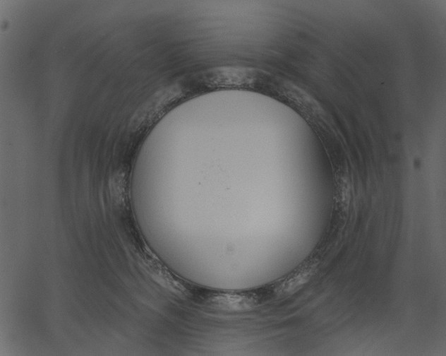 X0000062610326200601111015