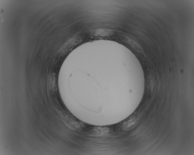 X0000062610328200601111015