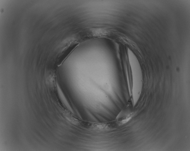 X0000062610329200601111015