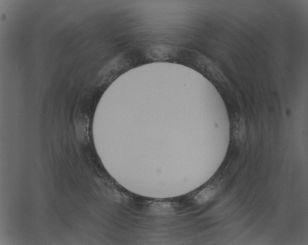 X0000062610332200601111015