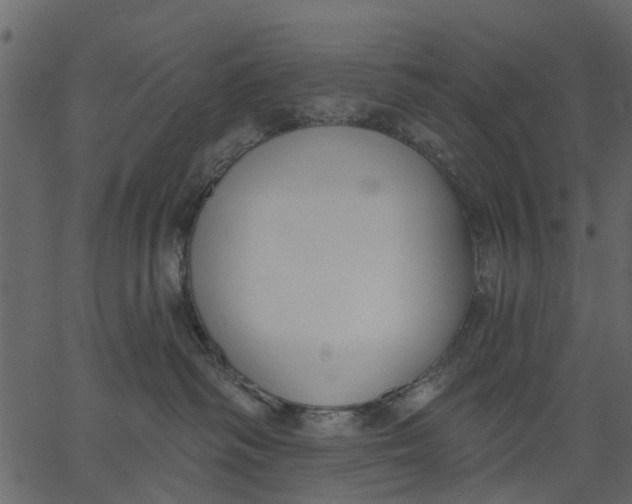 X0000062610334200601111015