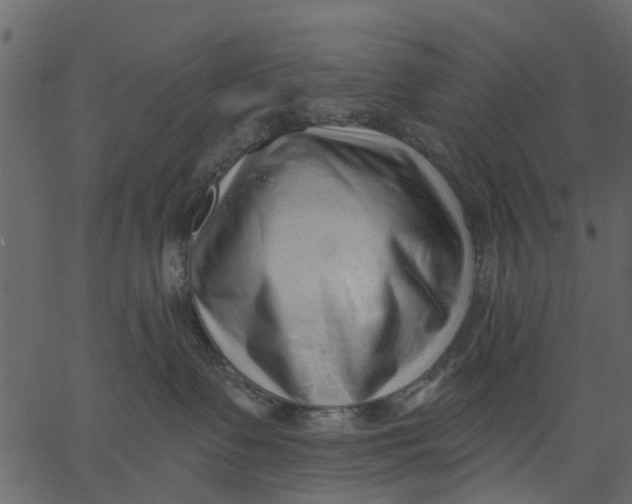 X0000062610335200601111015