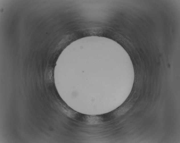 X0000062610336200601111015