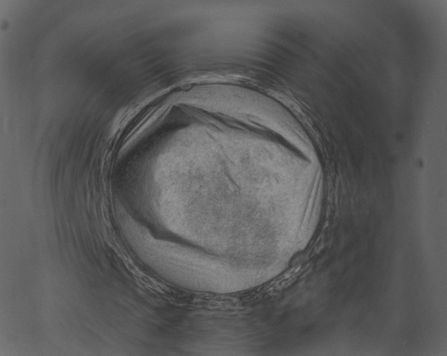 X0000062610337200601111014