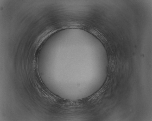 X0000062610338200601111014