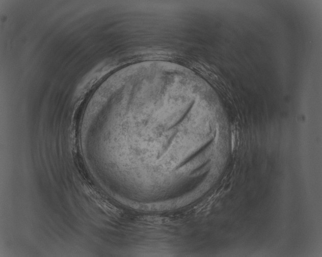 X0000062610339200601111014