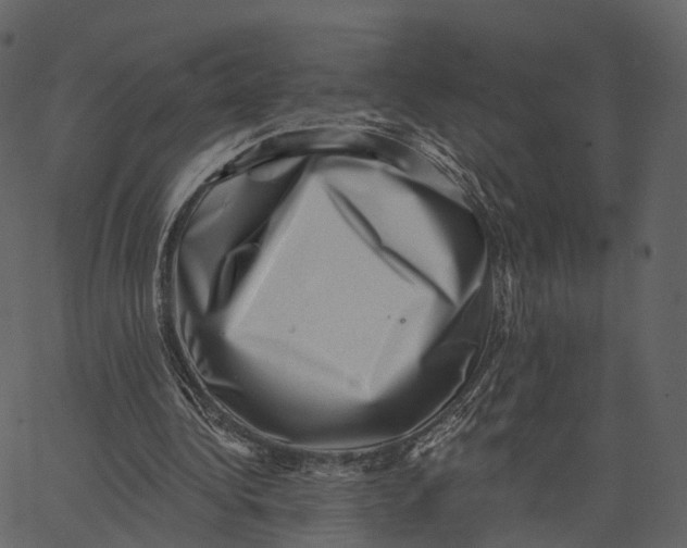 X0000062610340200601111014