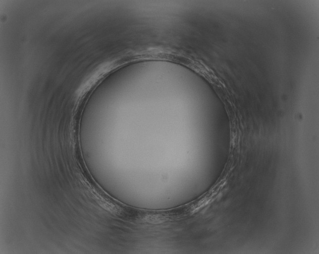 X0000062610341200601111014