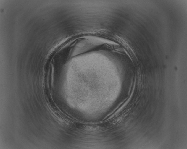 X0000062610346200601111014