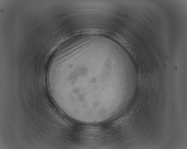 X0000062610347200601111014