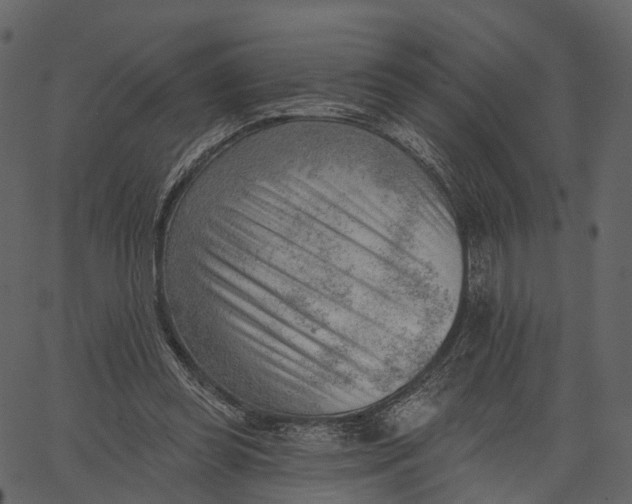 X0000062610349200601111014