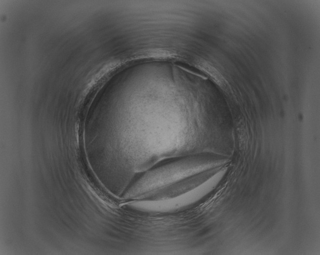 X0000062610350200601111014