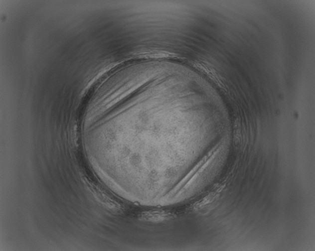 X0000062610351200601111014