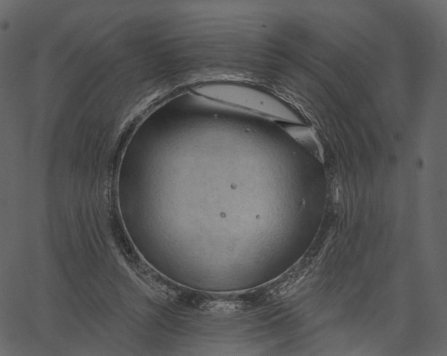 X0000062610352200601111014