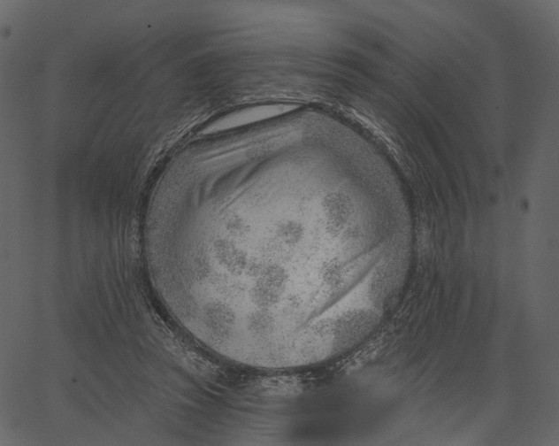 X0000062610353200601111014