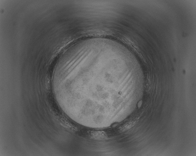 X0000062610355200601111014