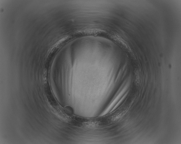 X0000062610356200601111014