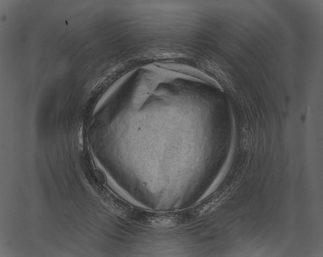 X0000062610358200601111014