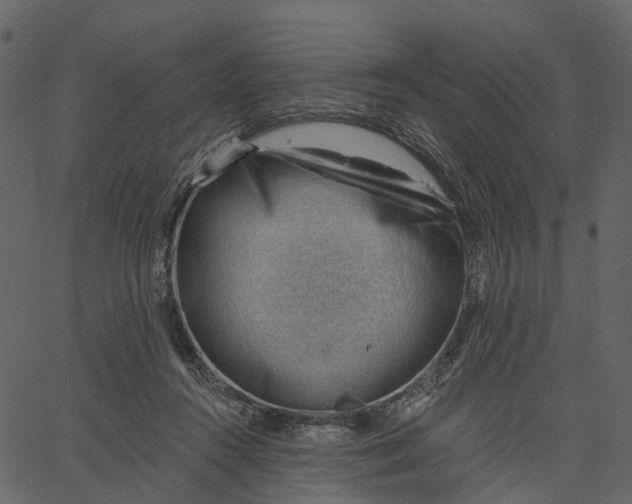 X0000062610360200601111014