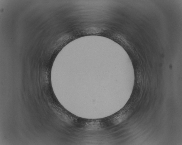 X0000062610362200601111014