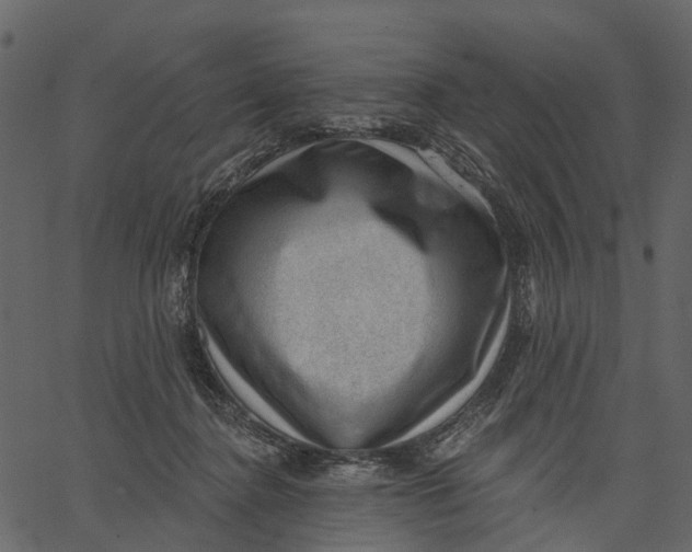 X0000062610364200601111014