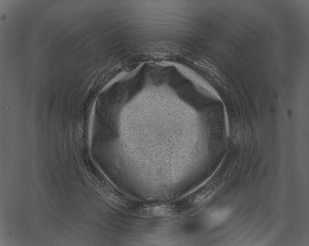 X0000062610365200601111014