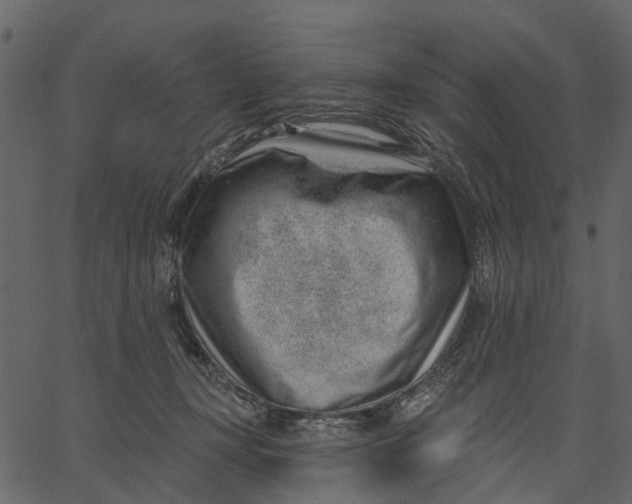 X0000062610367200601111014