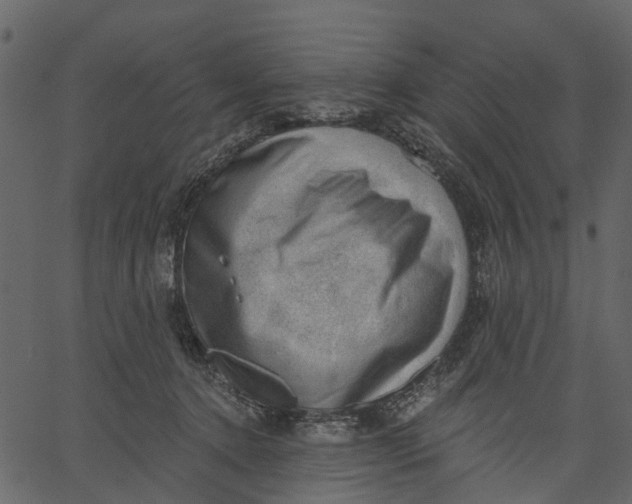 X0000062610368200601111014