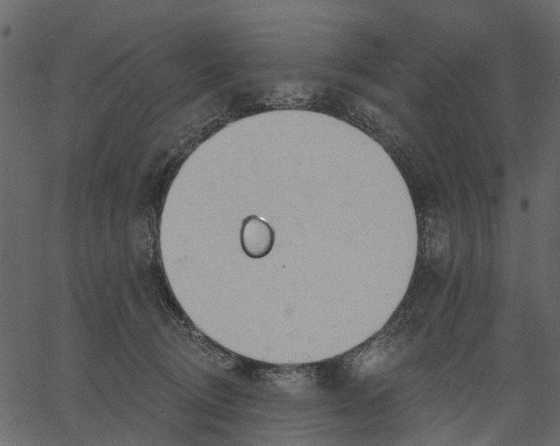 X0000062610370200601111014