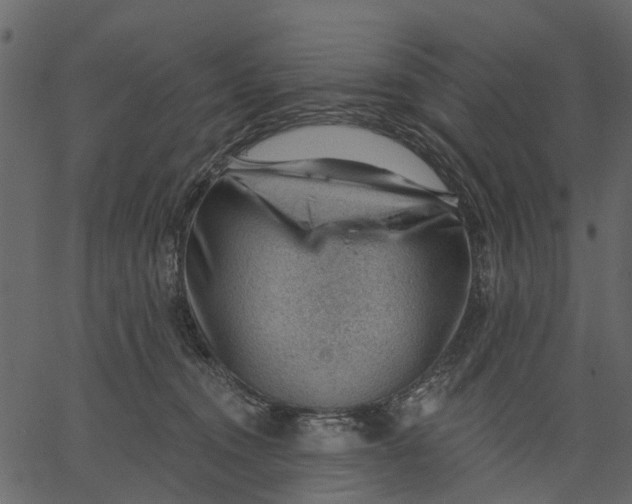 X0000062610372200601111014