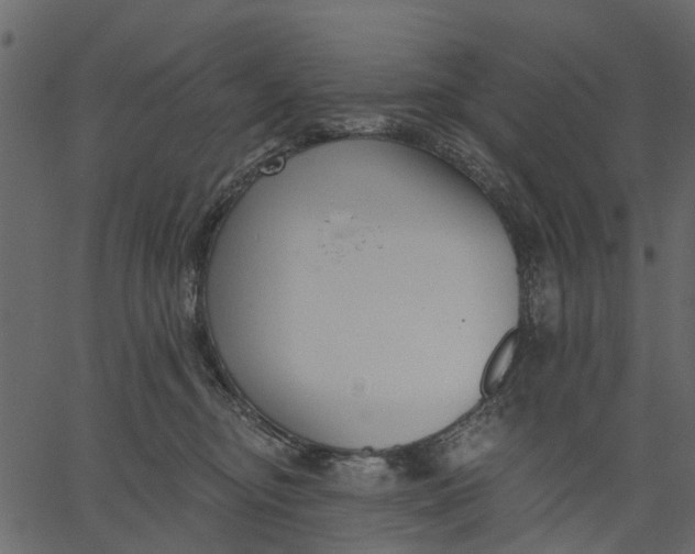 X0000062610374200601111014