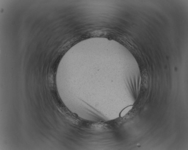 X0000062610375200601111015