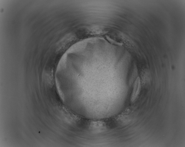 X0000062610376200601111015