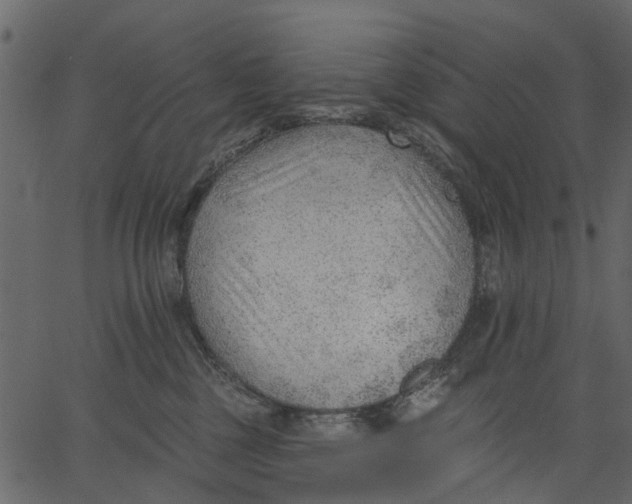 X0000062610377200601111015