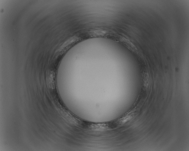 X0000062610378200601111015