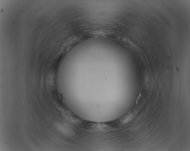 X0000062610379200601111015