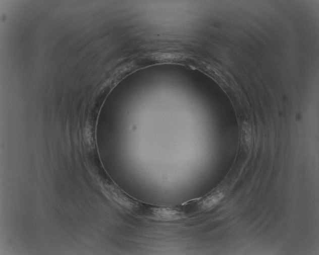 X0000062610380200601111015