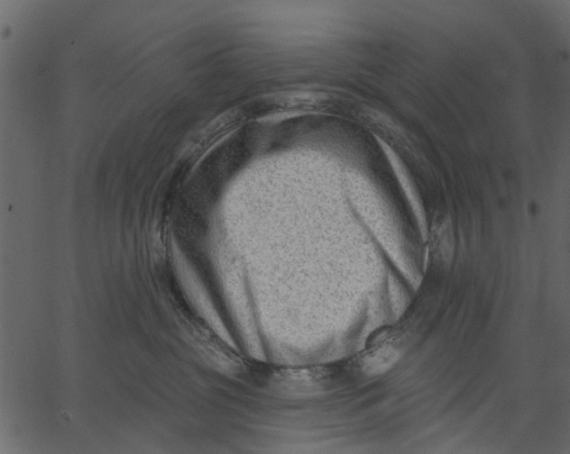 X0000062610381200601111015