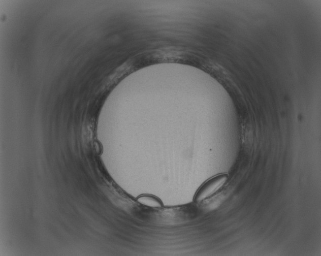 X0000062610382200601111015