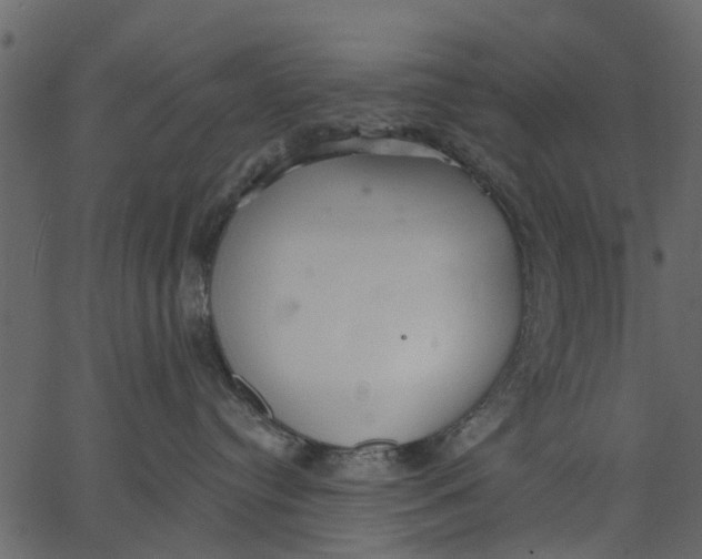 X0000062610384200601111015