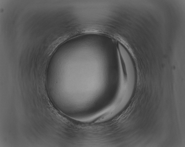 X0000062610385200601111014