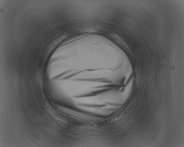 X0000062610386200601111014